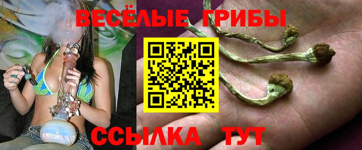Галлюциногенные грибы MAGIC MUSHROOMS Среднеуральск